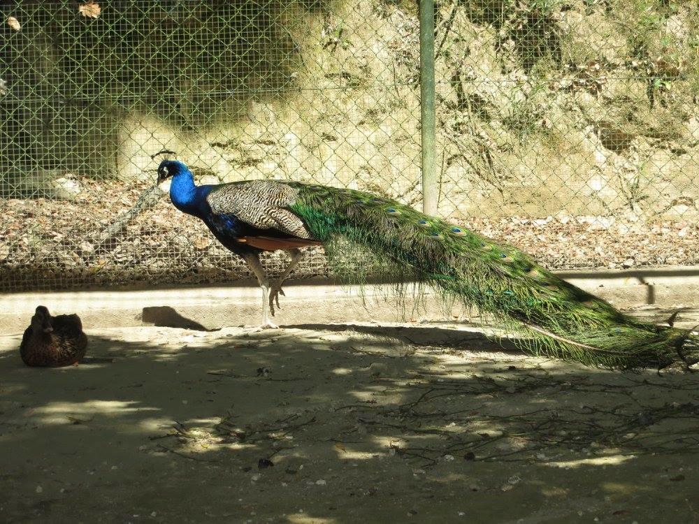 Encosta Dos Tuneis - Turismo E Lazer Sever do Vouga Εξωτερικό φωτογραφία