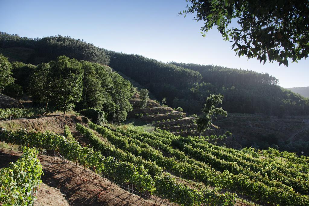 Encosta Dos Tuneis - Turismo E Lazer Sever do Vouga Εξωτερικό φωτογραφία